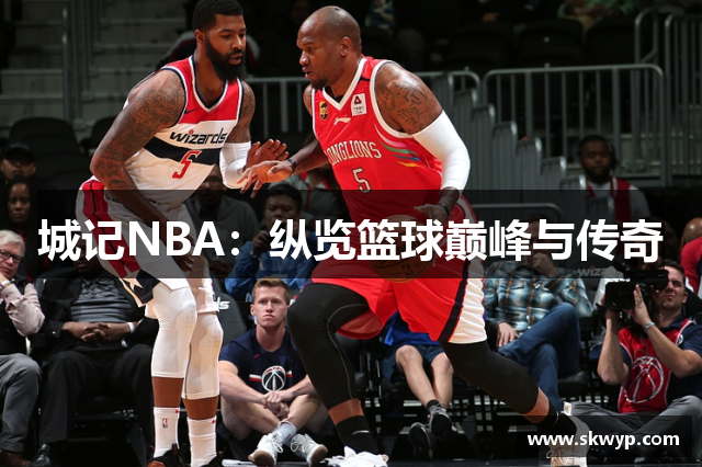城记NBA：纵览篮球巅峰与传奇