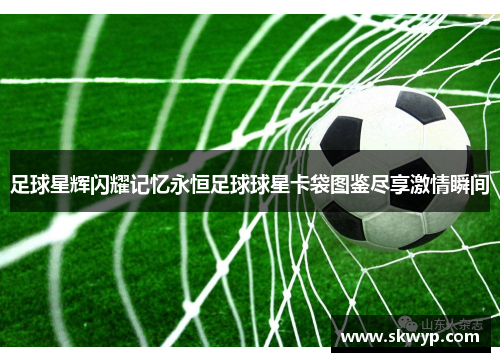 足球星辉闪耀记忆永恒足球球星卡袋图鉴尽享激情瞬间