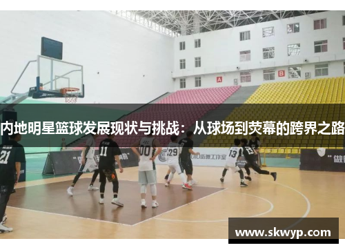 内地明星篮球发展现状与挑战：从球场到荧幕的跨界之路