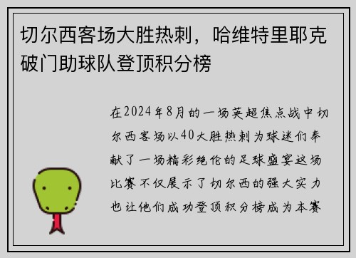 切尔西客场大胜热刺，哈维特里耶克破门助球队登顶积分榜
